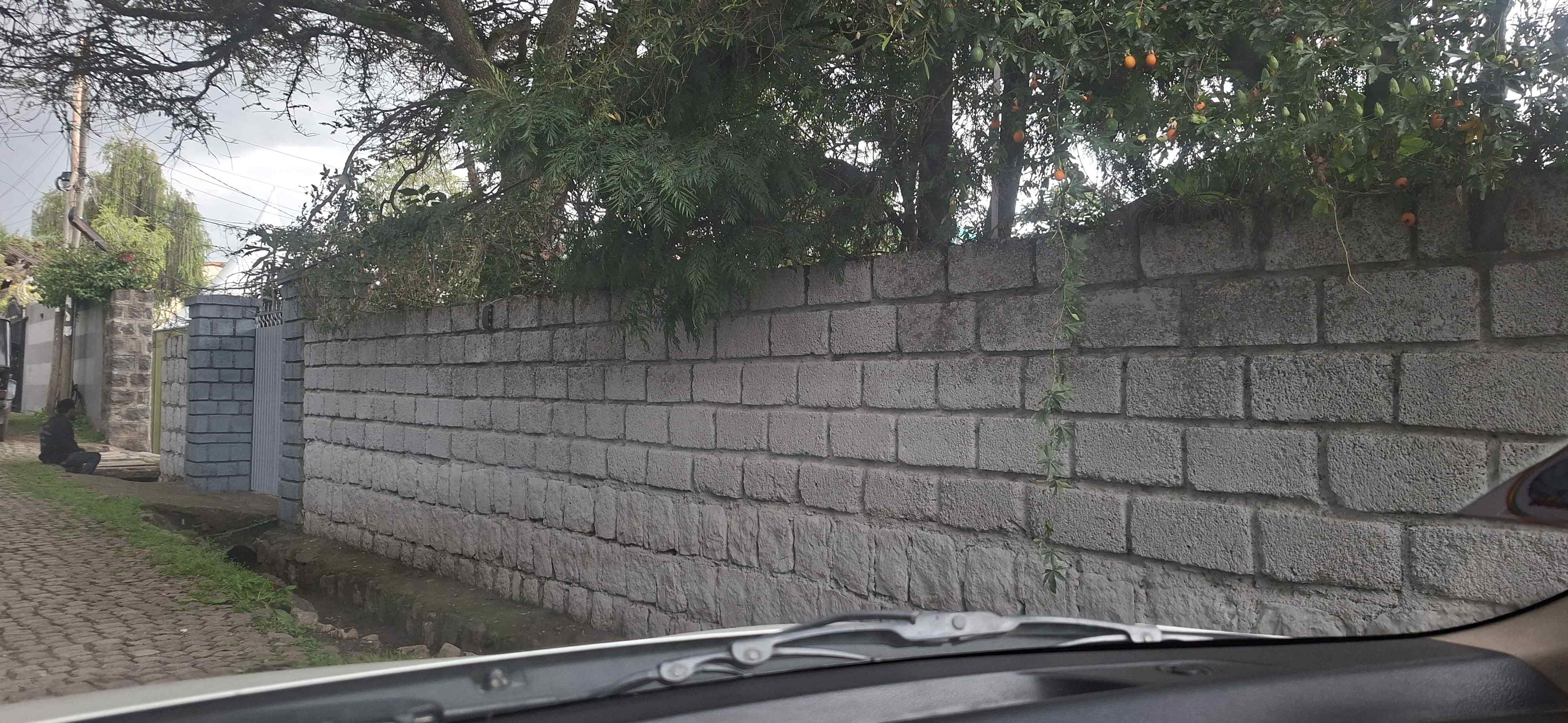 አስቸኳይ ለአብሮ ማልማት የቀረበ ቦታ አአ ቦሌ 22